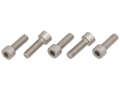 GPO screws (5 pieces) cast hub Inox | Puch GPO screws (5 pieces) cast hub Inox | Puch