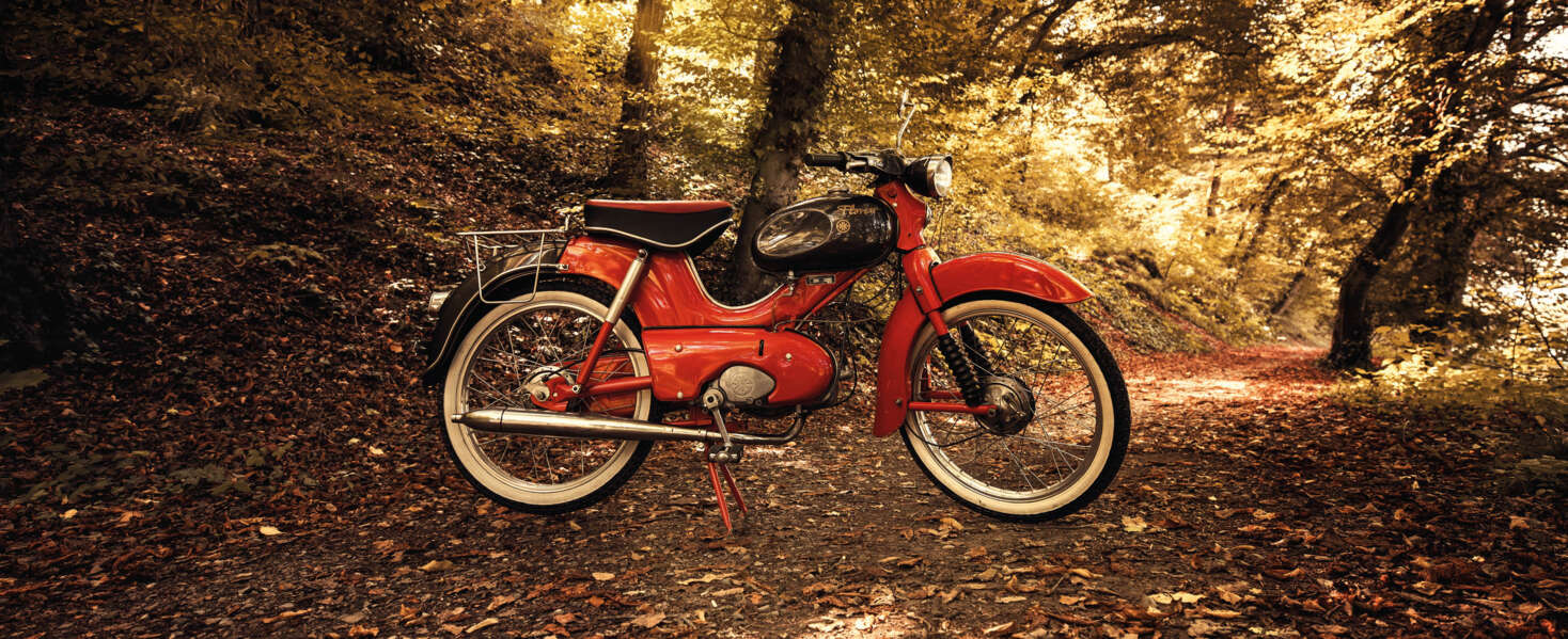 23_08-Kreidler-01pri 23_08-Kreidler-01pri