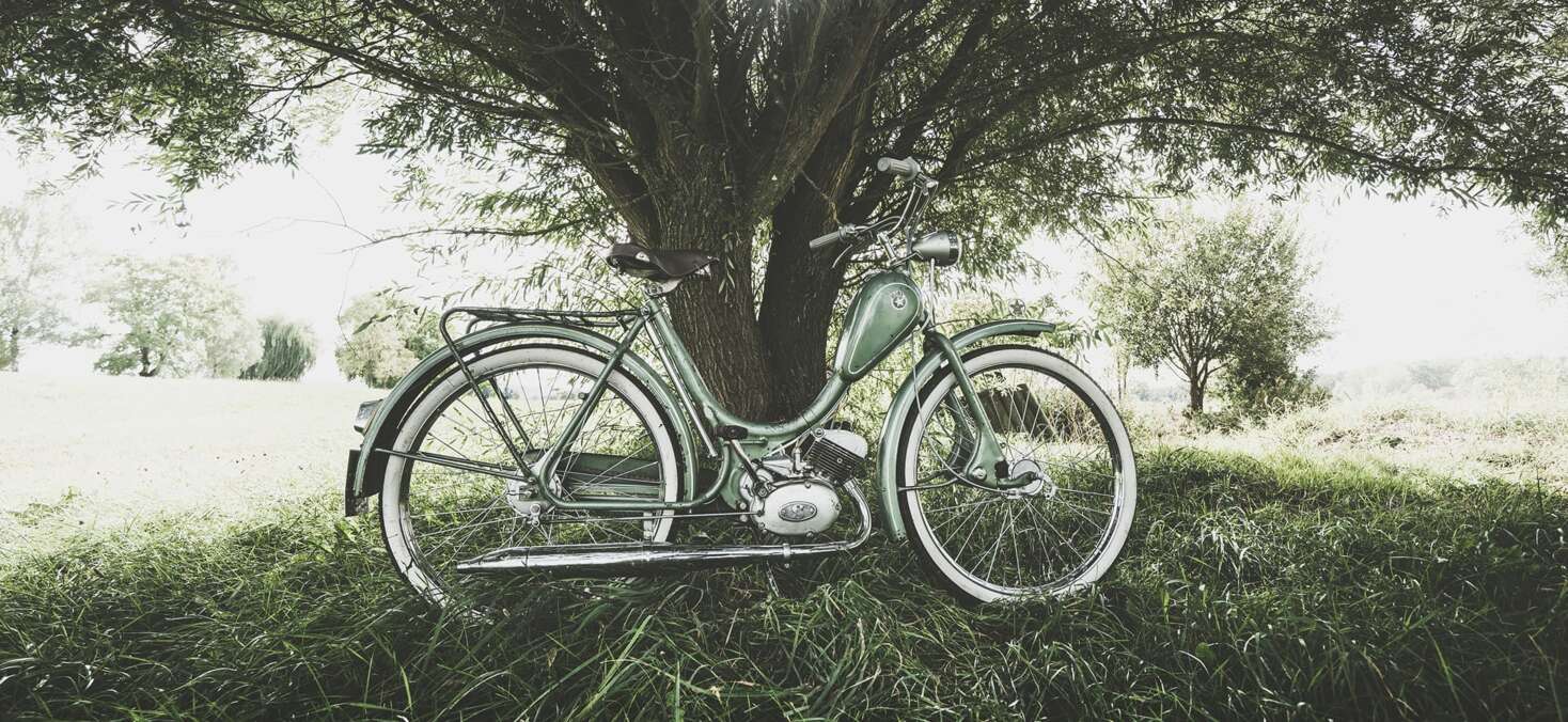 sachs-header-image-2259× 1040 sachs-header-image-2259× 1040