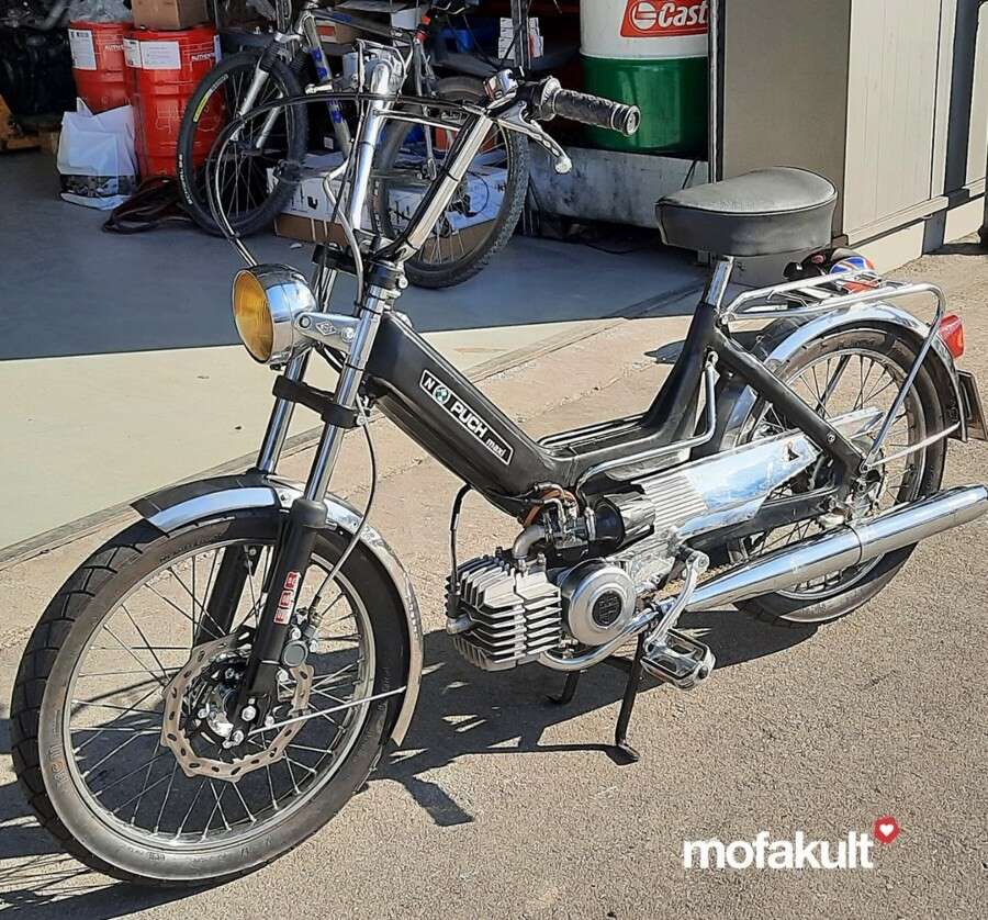 Maxi N von Dario Maxi N von Dario