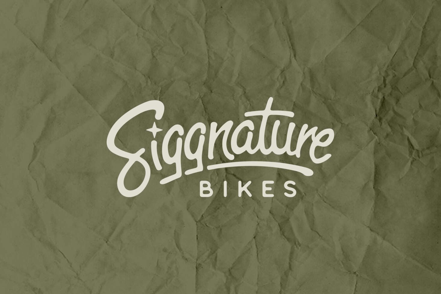 siggnature_bikes-teilehersteller-logo siggnature_bikes-teilehersteller-logo