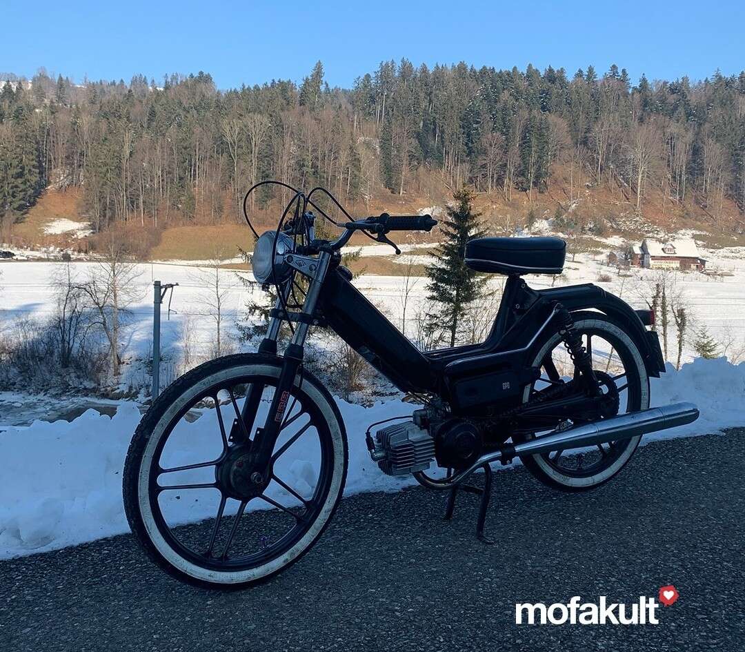 Maxi S von Cyrill Maxi S von Cyrill