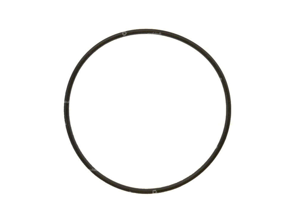 O-Ring Zylinderkopf FPM (bis 200°C) 44 x 1.8 mm | Puch Carousel Image 1