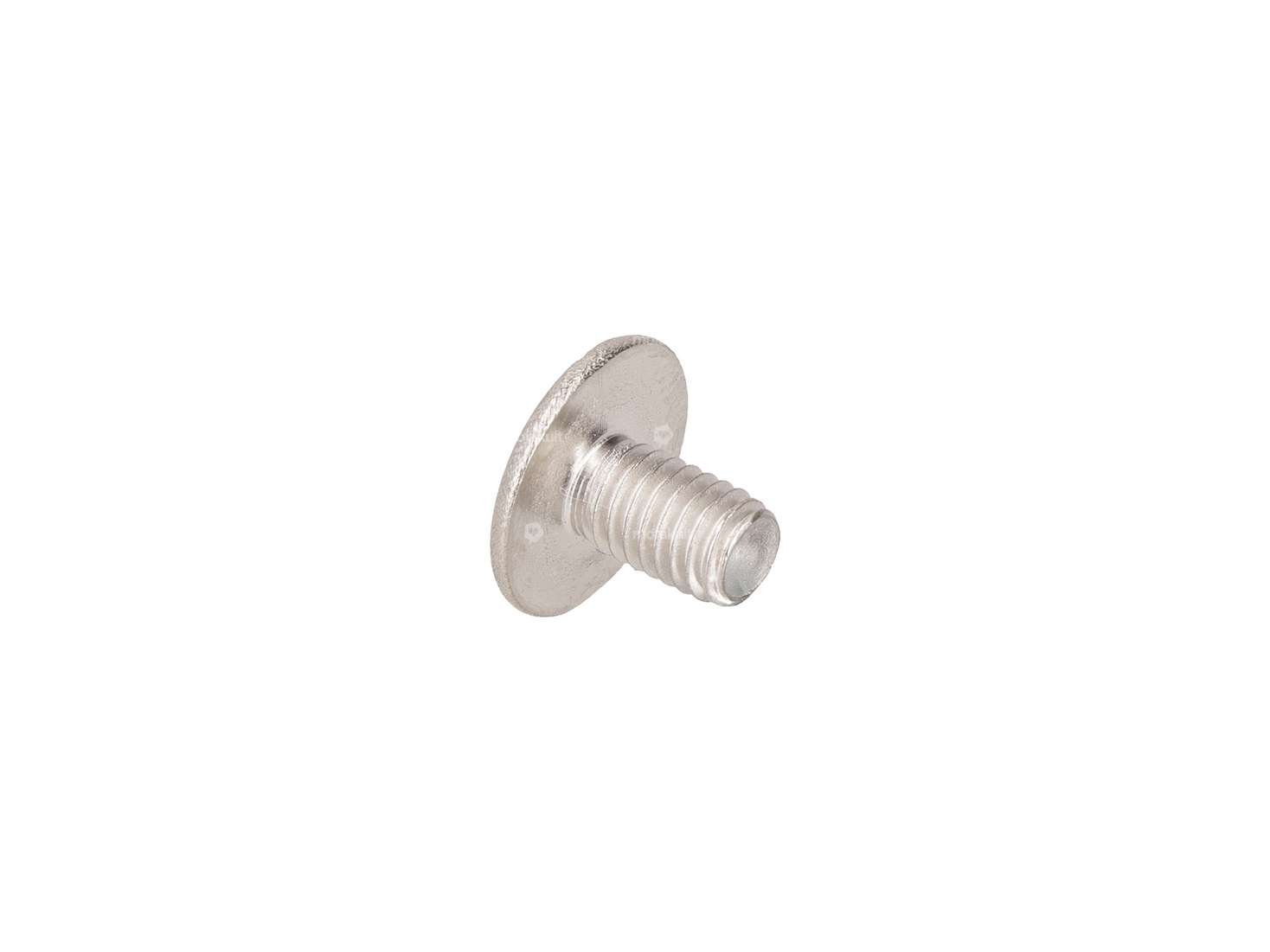Schraube M5x8 Linsenkopf flach Schlitz Inox Carousel Image 2