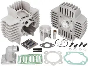 Polini 43.5 mm Zylinderkit Membran mit Kopf | Puch Polini 43.5 mm Zylinderkit Membran mit Kopf | Puch