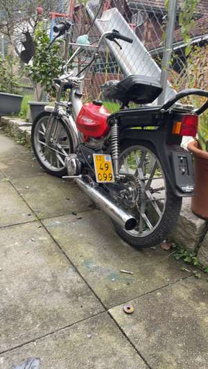 Winter Geschwür isch vo roman Winter Geschwür isch vo roman