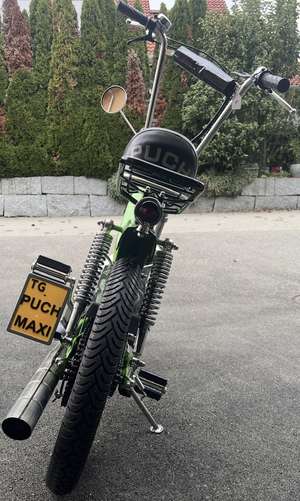 My Daughters Green My Daughters Green