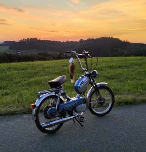 SFFS (SachsForever-ForeverSachs) SFFS (SachsForever-ForeverSachs)