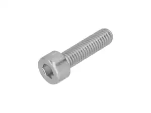 Screw M5x18 cylinder head hexagon socket, galvanized Screw M5x18 cylinder head hexagon socket, galvanized