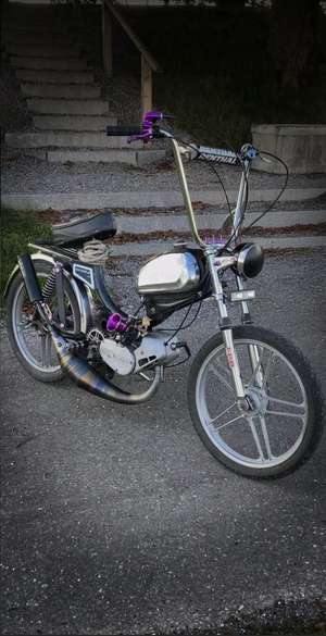 Peter sin OG Sachs đ€© Peter sin OG Sachs đ€©