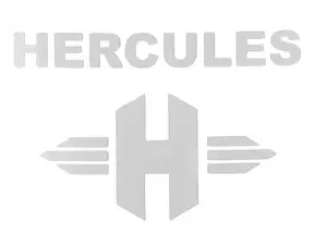 swiing® revival Aufkleber Sattelstütze «Hercules» weiss Folienplot swiing® revival Aufkleber Sattelstütze «Hercules» weiss Folienplot