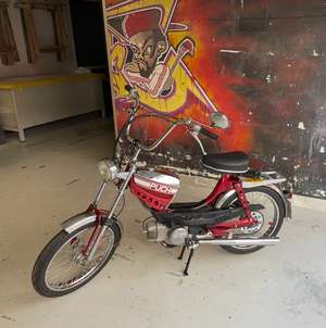 Isabella‘s Isabella‘s