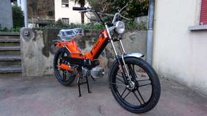 Orange & Black Orange & Black