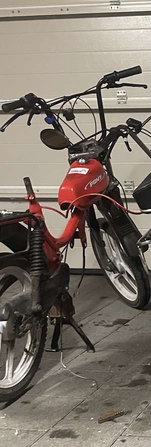 Kschwüür pony Kschwüür pony