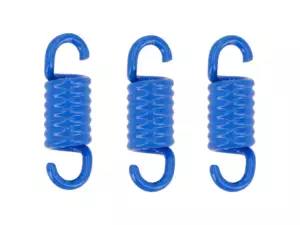 Polini Kupplungsfedern-Set Mono | Piaggio Ciao, SI, Bravo, Boxer Polini Kupplungsfedern-Set Mono | Piaggio Ciao, SI, Bravo, Boxer