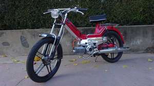 Red & Black Red & Black