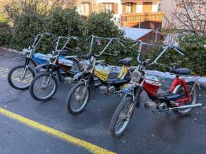 Sandro's Lieblinge Sandro's Lieblinge