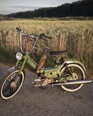 Rasenmäher Rasenmäher