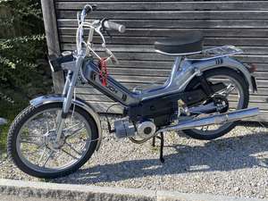 the greyhound the greyhound