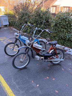 blau und braun blau und braun