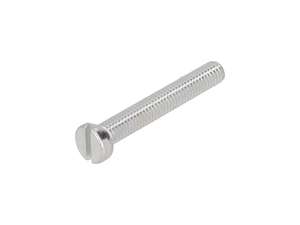 Screw M6x40 cylinder head slot galvanized Screw M6x40 cylinder head slot galvanized
