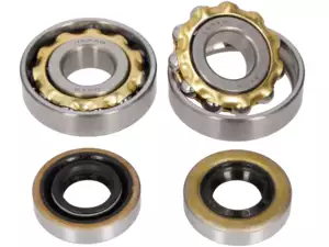 NSK Kurbelwellenlager-Set | Sachs 503 2AL, 2BL NSK Kurbelwellenlager-Set | Sachs 503 2AL, 2BL