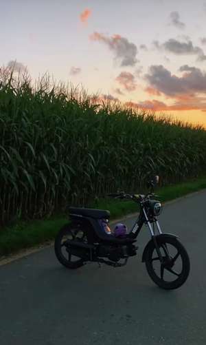 Martin von JBS (git kei Byebike???) Martin von JBS (git kei Byebike???)