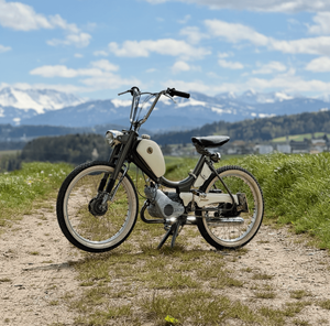 Pony Junior Pony Junior