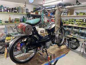 black soldier black soldier