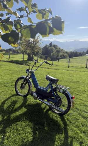 Blöchi sini Daily wen Dt kaputt Blöchi sini Daily wen Dt kaputt